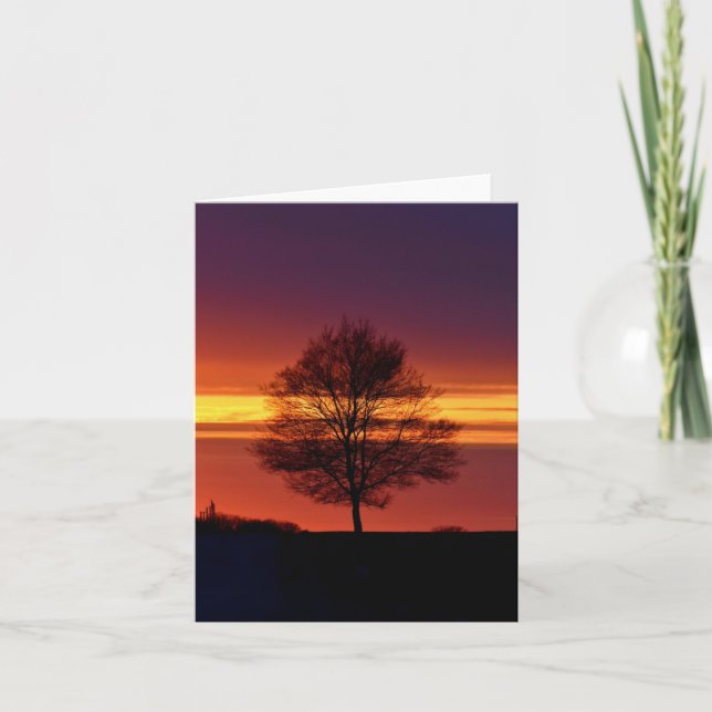 Tree silhouette blank notecard.  thank you card (Front)