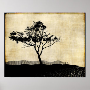 Tree Silhouette Photo Art Poster