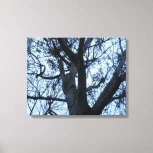 Tree Silhouette Photogarph Canvas Print