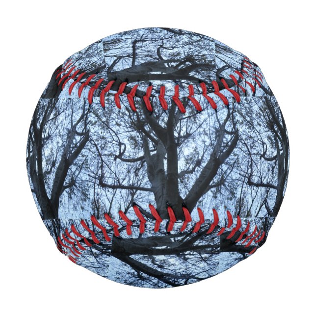 Tree Silhouette Photograph Baseball (Front)