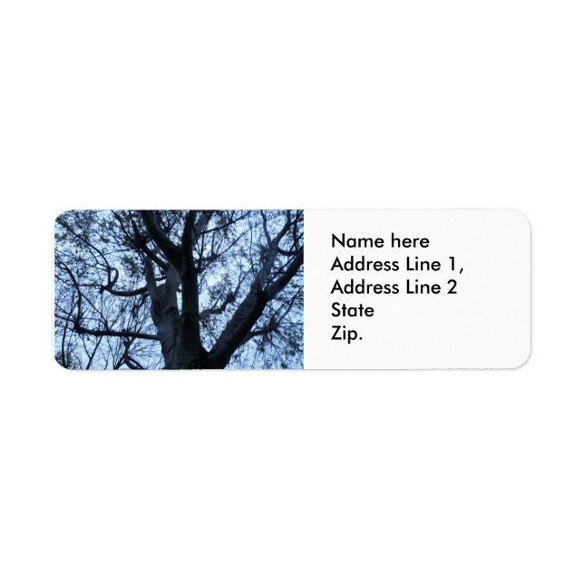 Tree Silhouette Photograph Custom Address Labels (Front)