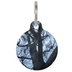 Tree Silhouette Photograph Custom Dog Tag