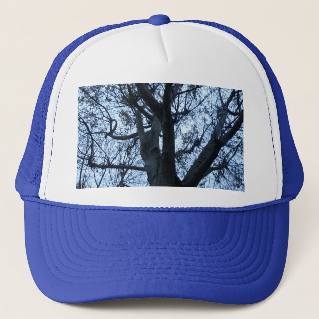 Tree Silhouette Photograph Hat (Front)