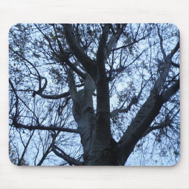 Tree Silhouette Photograph Mousepad (Front)