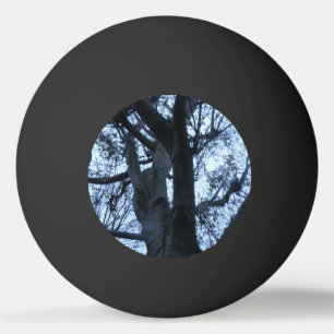 Tree Silhouette Photograph Ping Pong Ball