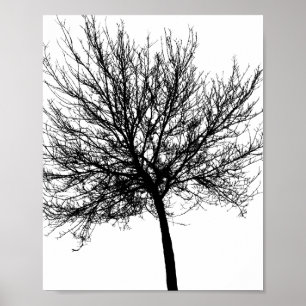 Tree Silhouette Poster