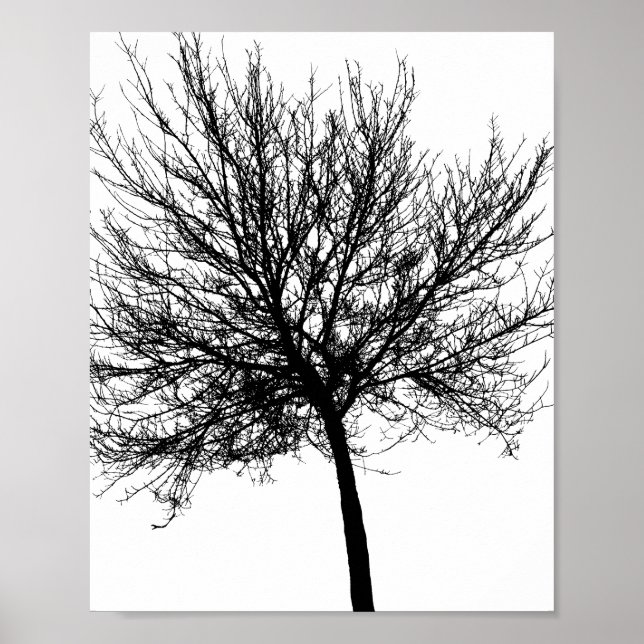 Tree Silhouette Poster (Front)