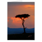 Tree Silhouette & Sunset, Masai Mara Card