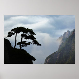 Tree silhouetted at sunrise, Yellow Mountain, Poster