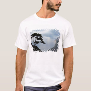 Tree silhouetted at sunrise, Yellow Mountain, T-Shirt