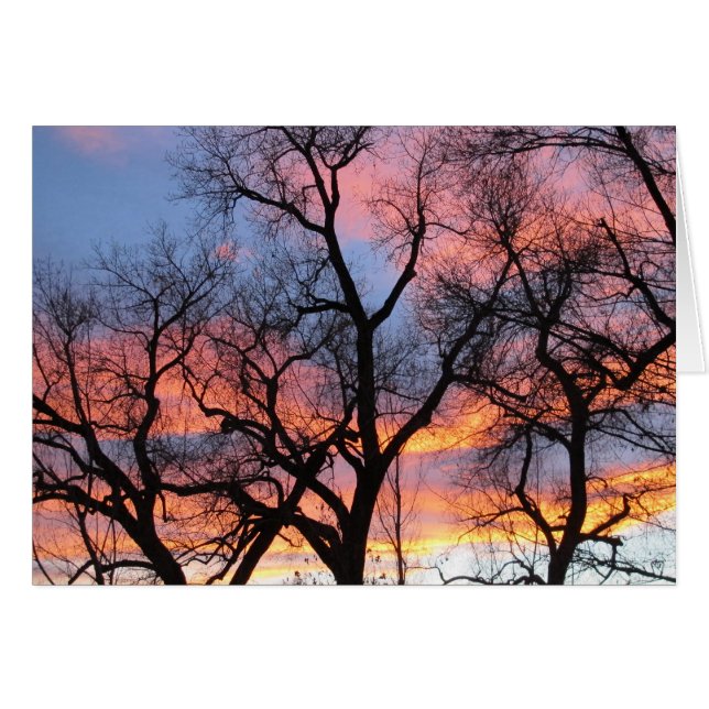 Tree Silhouettes at Dusk (Front Horizontal)