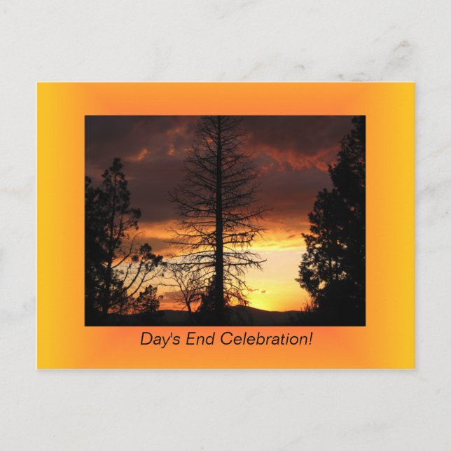 Tree Silhoutte Sunset Postcards (Front)