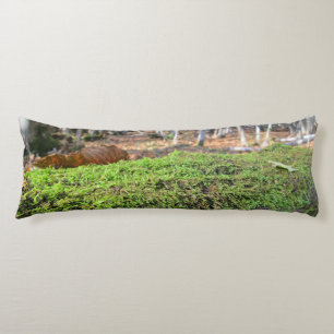 Tree Slumbers in Autumn Moss - Personalised Body Cushion