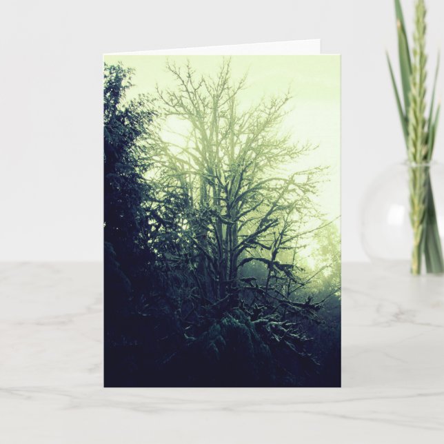 Tree Spirit Card (Front)