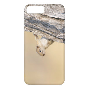Tree squirrel iPhone 8 plus/7 plus case