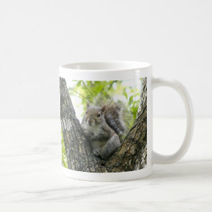 Tree Squirrel Coffee Mug