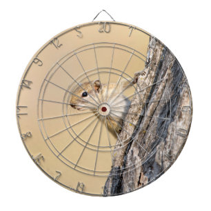 Tree squirrel dartboard