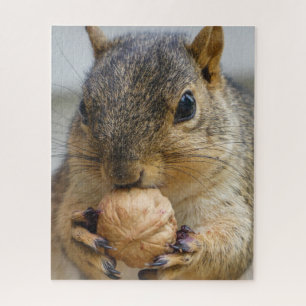 Tree Squirrel eating a nut Jigsaw Puzzle