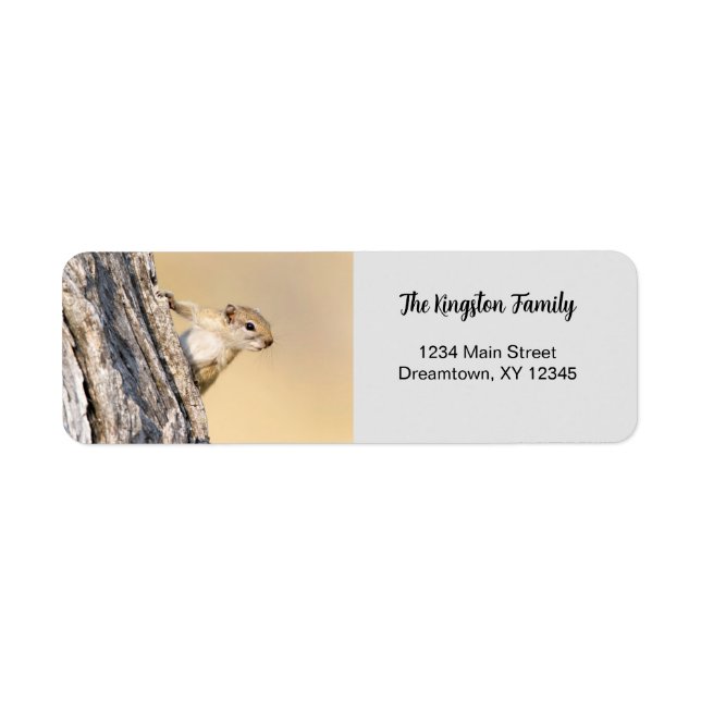 Tree squirrel funny personalised Return Address (Front)