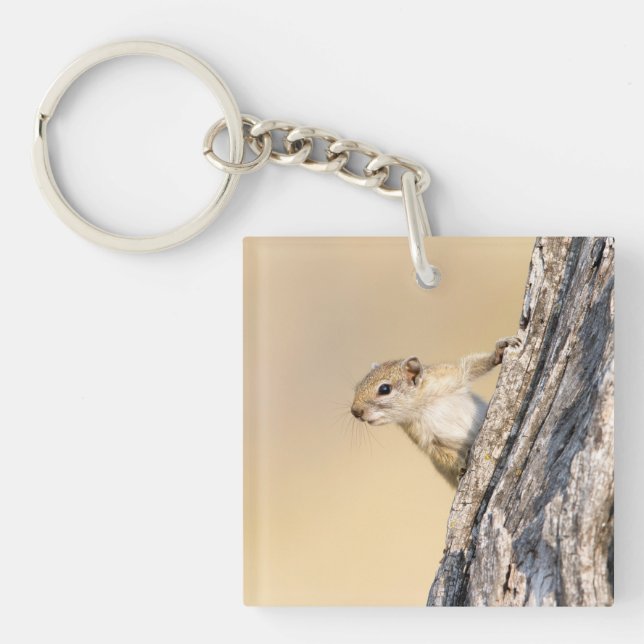 Tree squirrel key ring (Front)