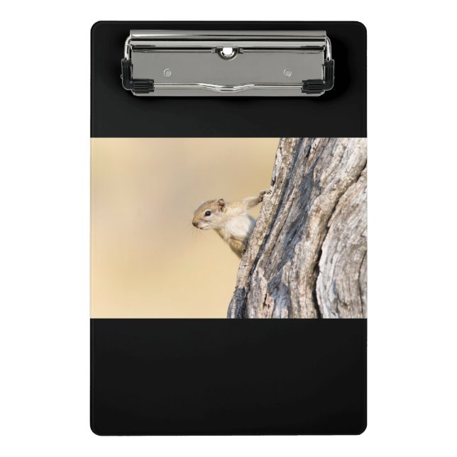 Tree squirrel mini clipboard (Front)