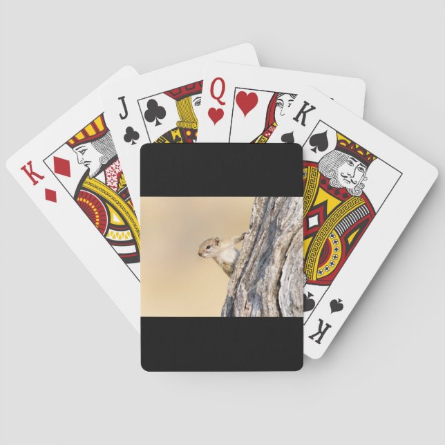 Tree squirrel playing cards (Back)