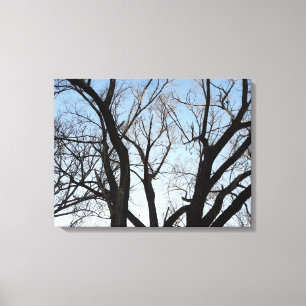 Tree Stretch Canvas Print