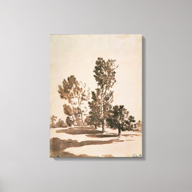 Tree Study (pen & ink on paper) Canvas Print (Front)