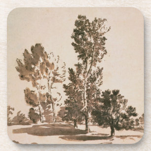 Tree Study (pen & ink on paper) Coaster