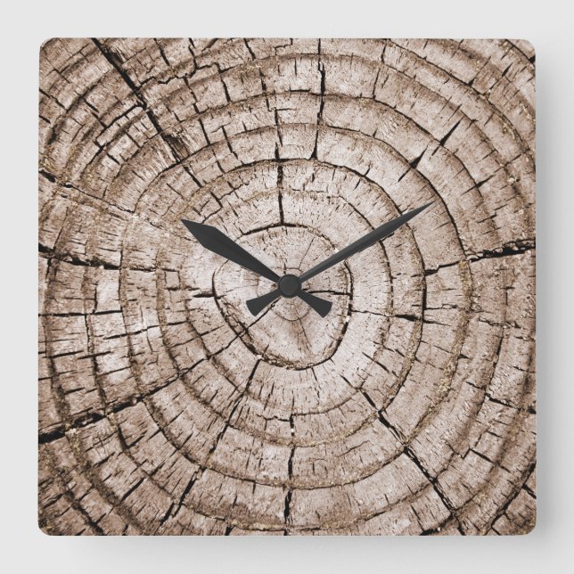 Tree Stump 2 Square Wall Clock (Front)