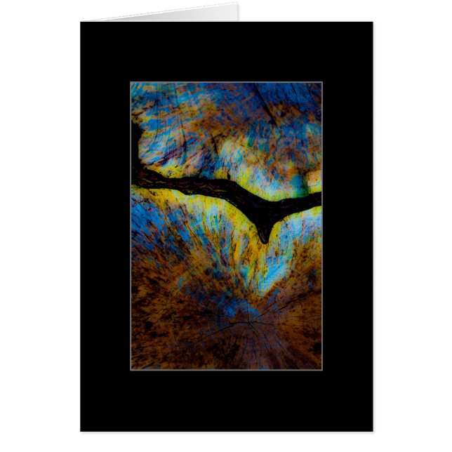 Tree Stump Abstract (Front)