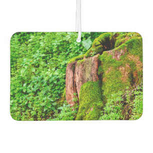 Tree stump car air freshener