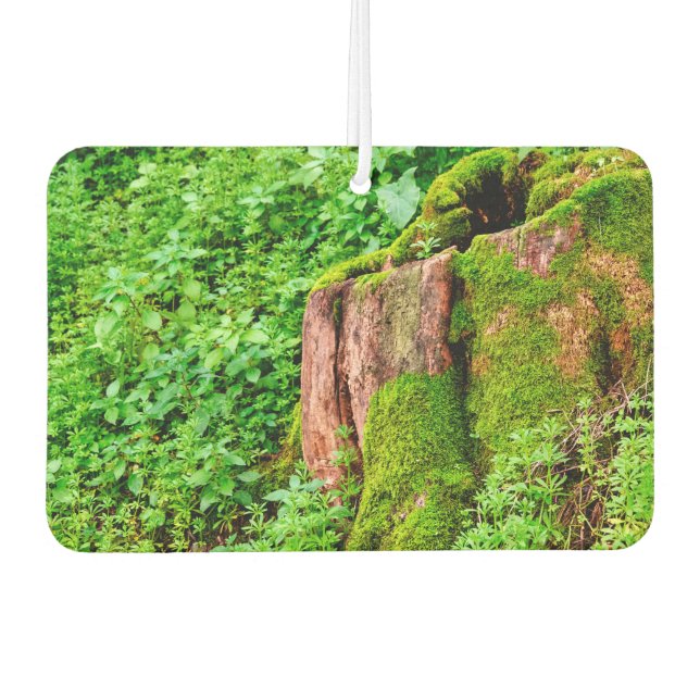 Tree stump car air freshener (Front)