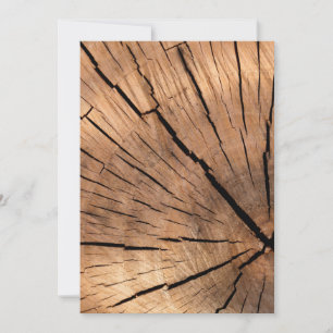 Tree Stump Texture
