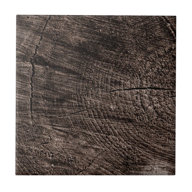 Tree Stump Tile (Front)