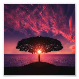 Tree & Sun Photo Print