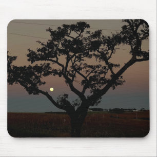 Tree Sunset Wall Nature Photography Mouse Mat