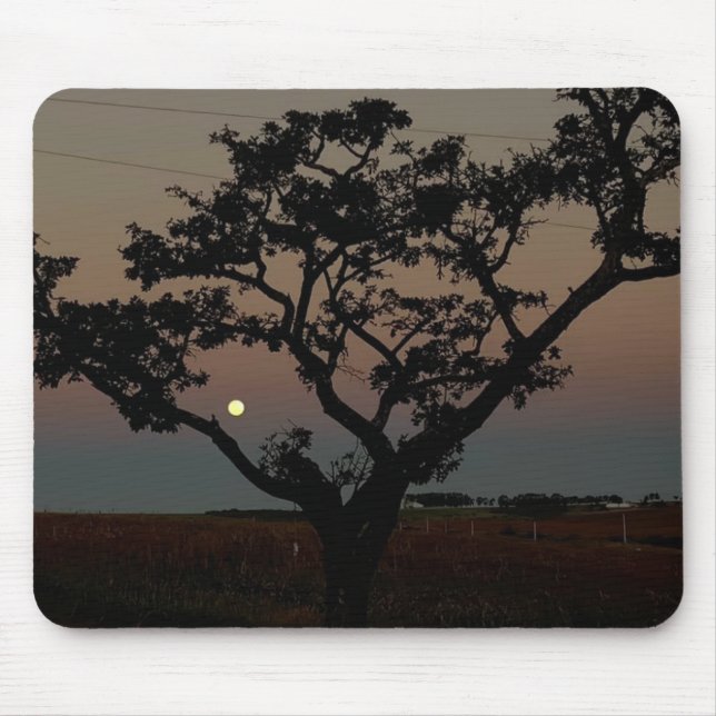 Tree Sunset Wall Nature Photography  Mouse Mat (Front)
