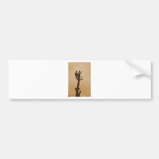 Tree Surgeon Arborist at work present Bumper Sticker