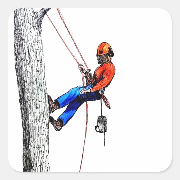 Arborist Stickers & Labels | Zazzle UK