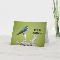 Tree Swallow Birthday
