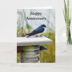 Tree Swallow Couple Happy Anniversary Card
