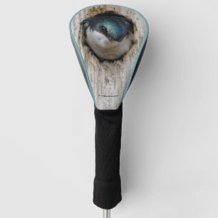 Tree Swallow in a Nestbox Golf Head Cover