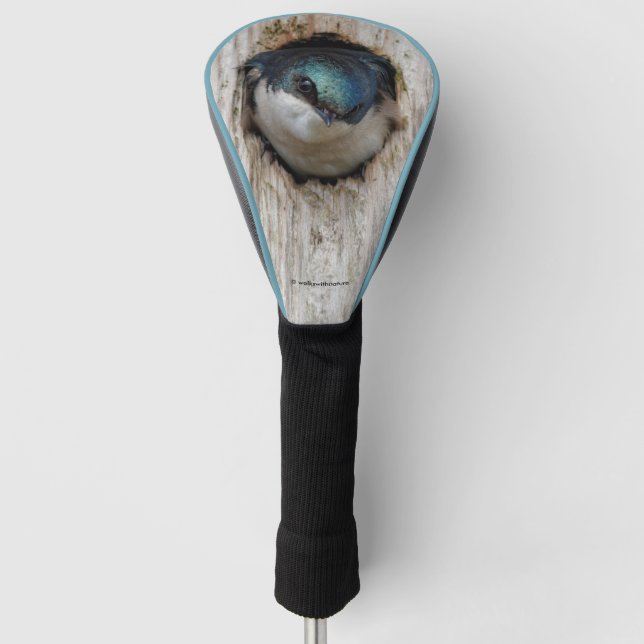 Tree Swallow in a Nestbox Golf Head Cover (Front)