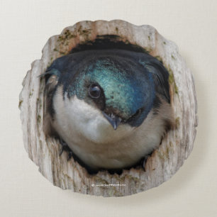 Tree Swallow in a Nestbox Round Cushion