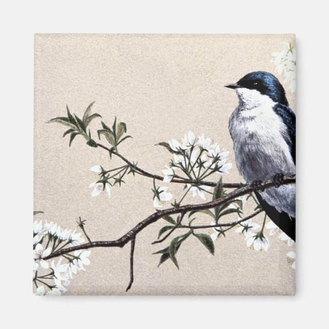 Tree swallow magnet (Front)
