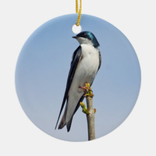 Tree Swallow Ornament