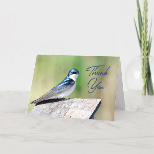 Tree Swallow Photo Thank You Card