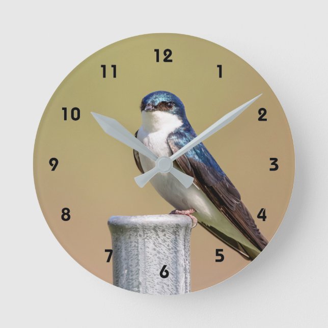 Tree Swallow Round Clock (Front)