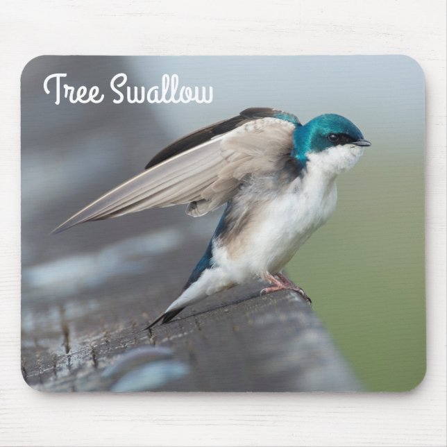 Tree Swallow Stretch Mouse Mat (Front)